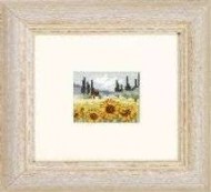 Sunflowers 13-2353